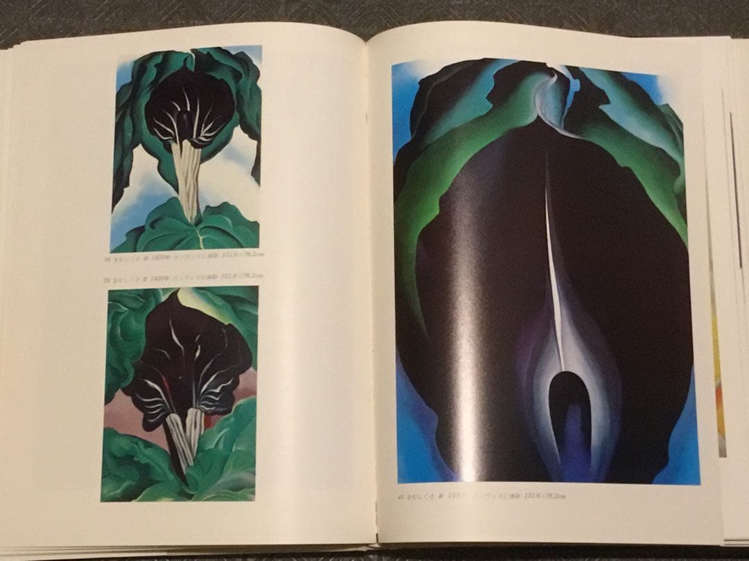 【連休中値下】 ⭕️オキーフ画集 限567 小学館82年刊　定価2万8千　大判函付