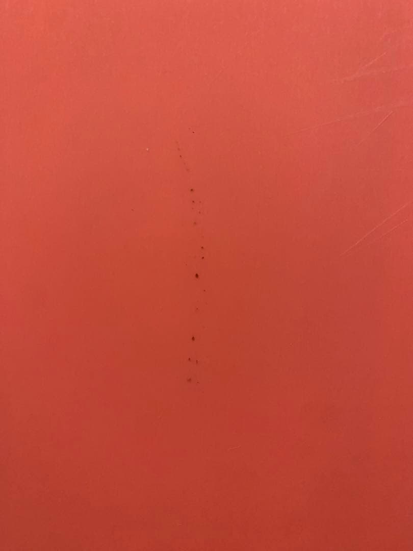 スノーボード capita paradis 141