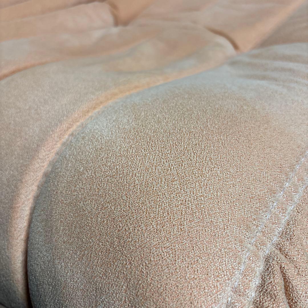 ROSETTOGO 2P ligne roset ウルトラスウェード