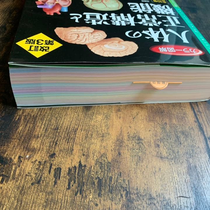 【値下げ中】カラー図解 人体の正常構造と機能　改訂第3版