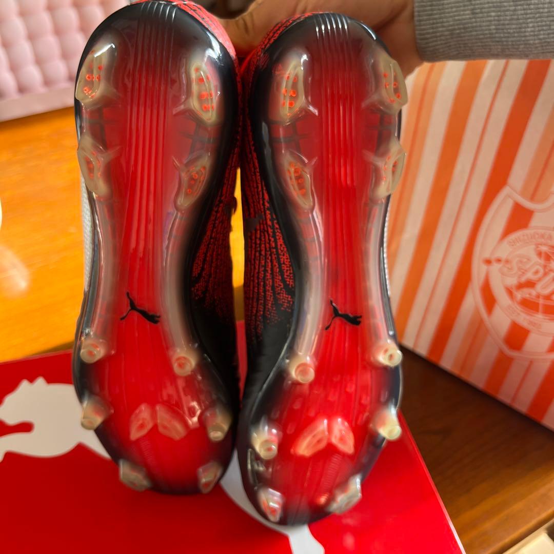 【ぱるぷんて】