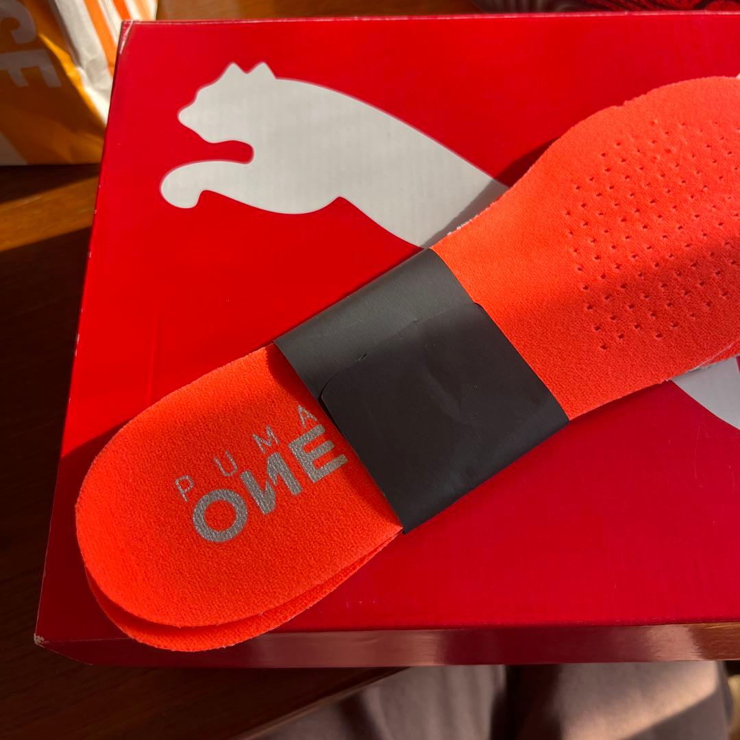 【ぱるぷんて】