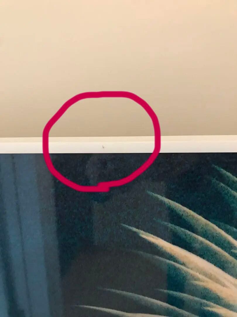 【美品】N/Y坂本龍一写真集　　特典ポスター特注額装　非売品