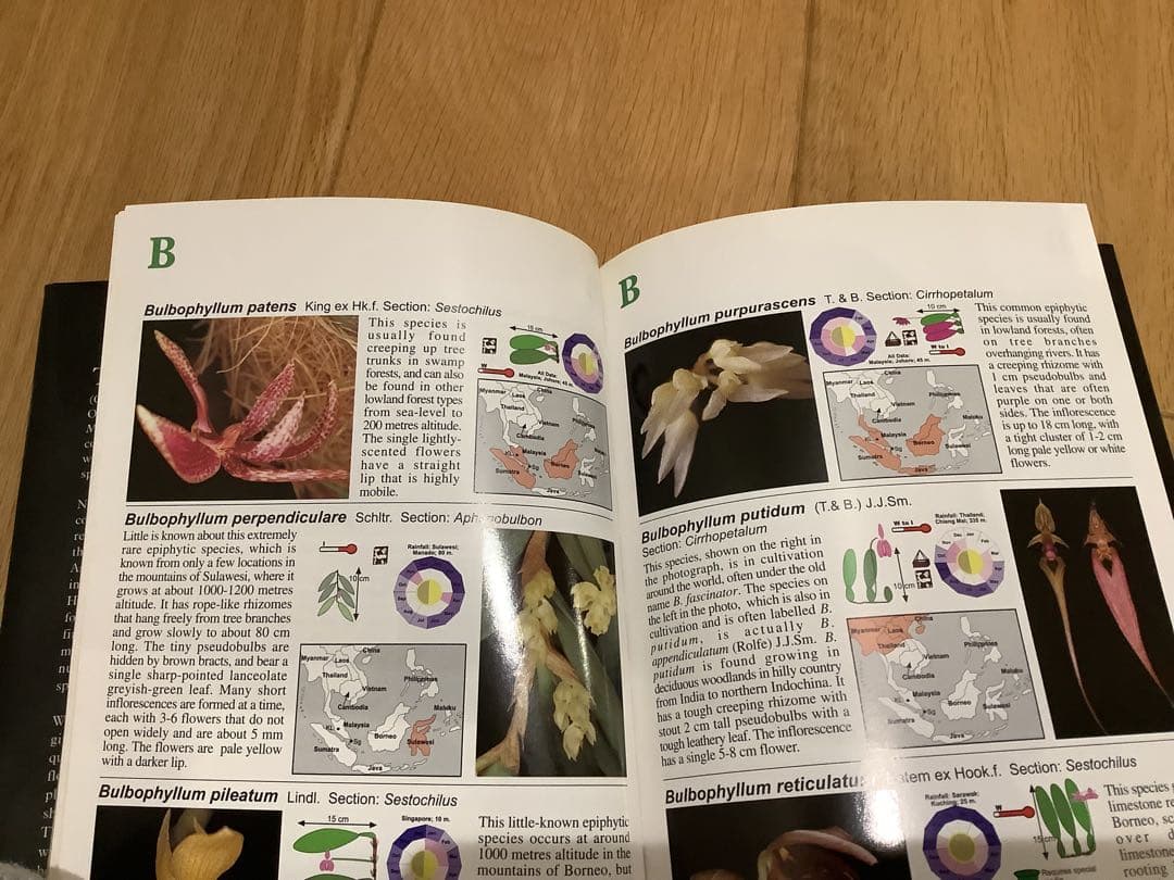 洋書 AtoZ of South East Asian Orchid Species