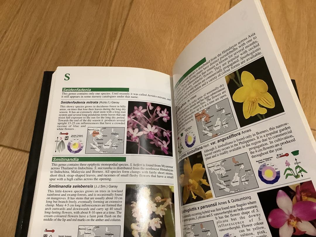洋書 AtoZ of South East Asian Orchid Species