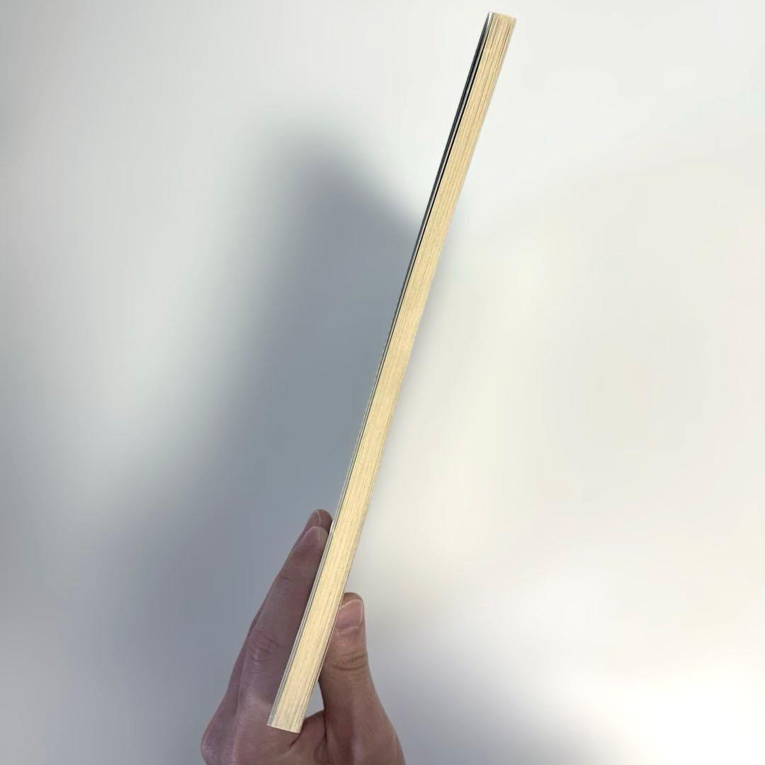 【状態良好】Blankey Jet City L MOON バンドスコア