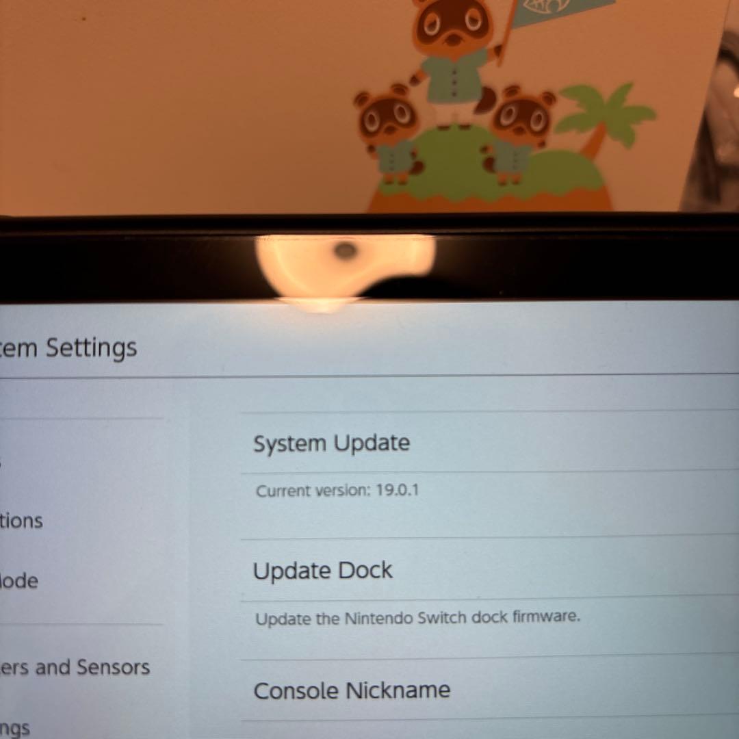 北米版 Switch Animal Crossing Console