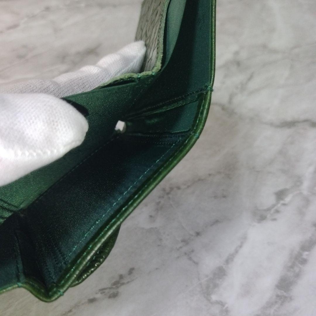 AMEX限定　EXENTRI MULTIWALLET Caiman Green