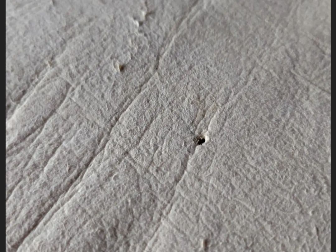 深*紫様 OCHIBA 物語 ニホンジカ カーミットチェアカバー