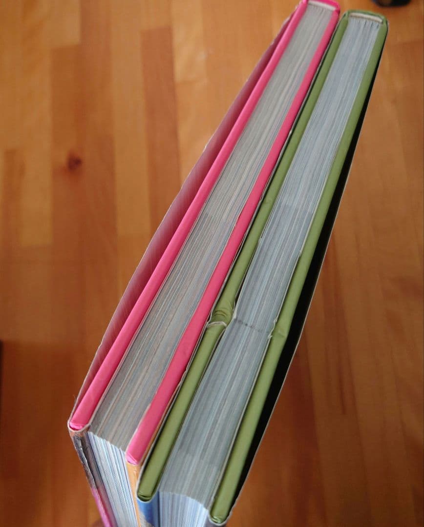 Living in Mexico 、VIVRE A BAHIA 2冊セット