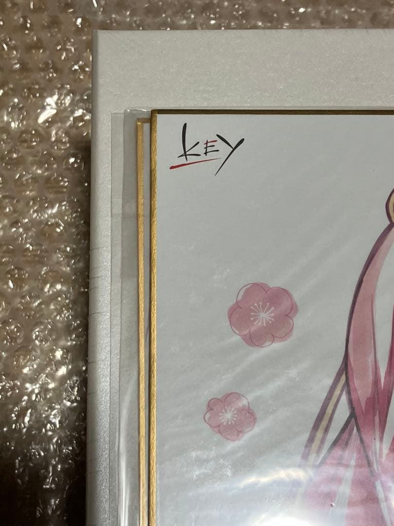 Summer Pockets REFLECTION BLUE 豪華限定版 色紙付