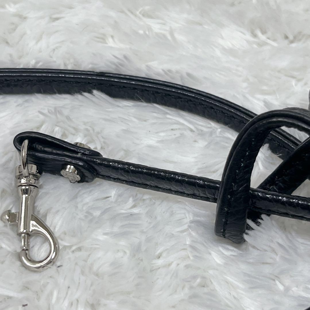 【極美品】GIANNI CHIARINI アリファ S ショルダーバッグ　黒