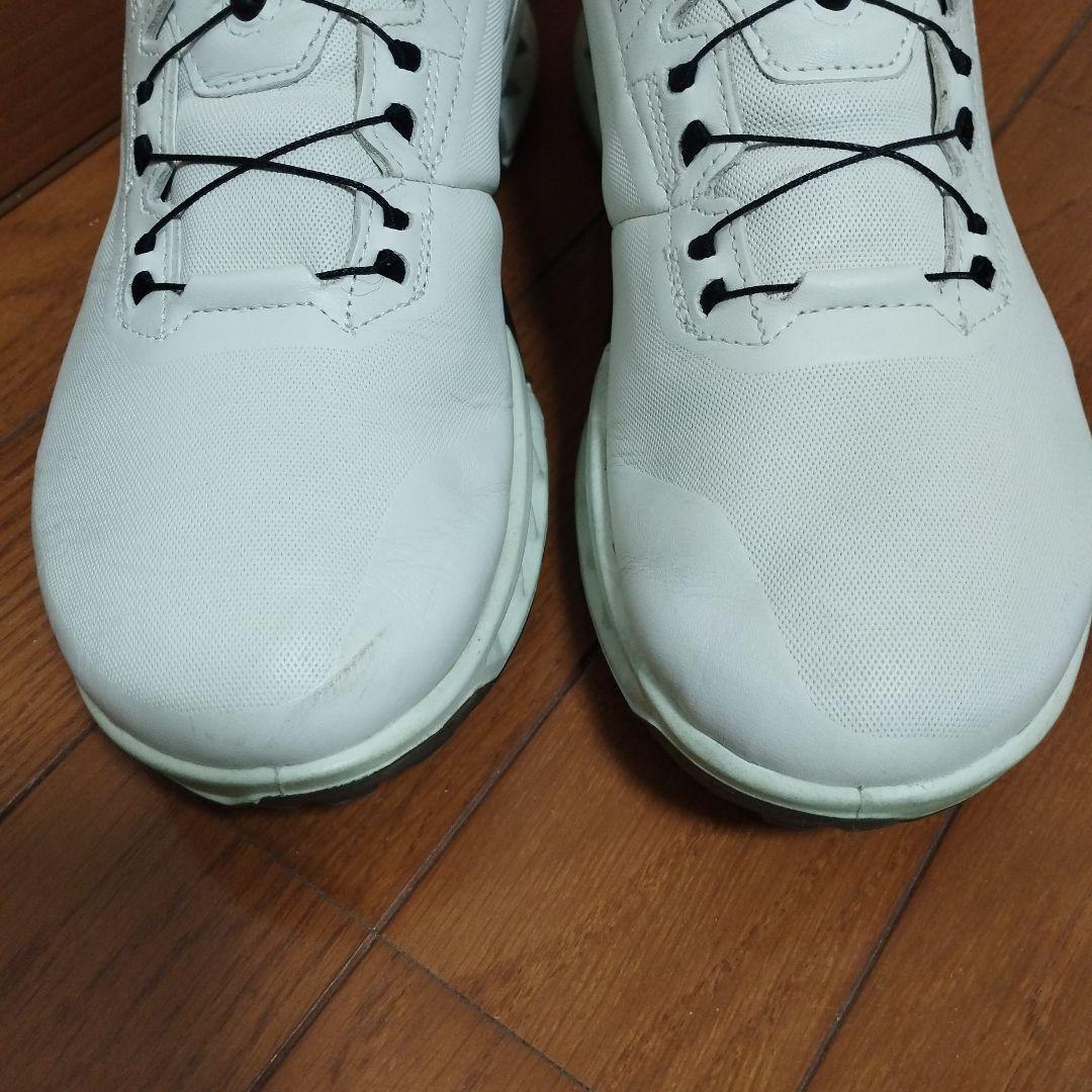 エコー C4 BOA ゴルフシューズ 25.5cm　着用1回の美品