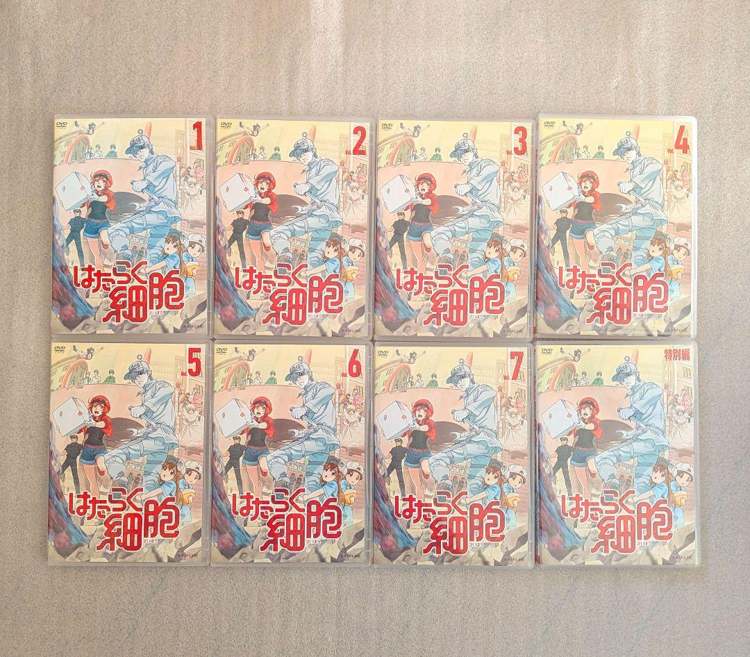 はたらく細胞　DVD　レンタル　アニメ　8本セット