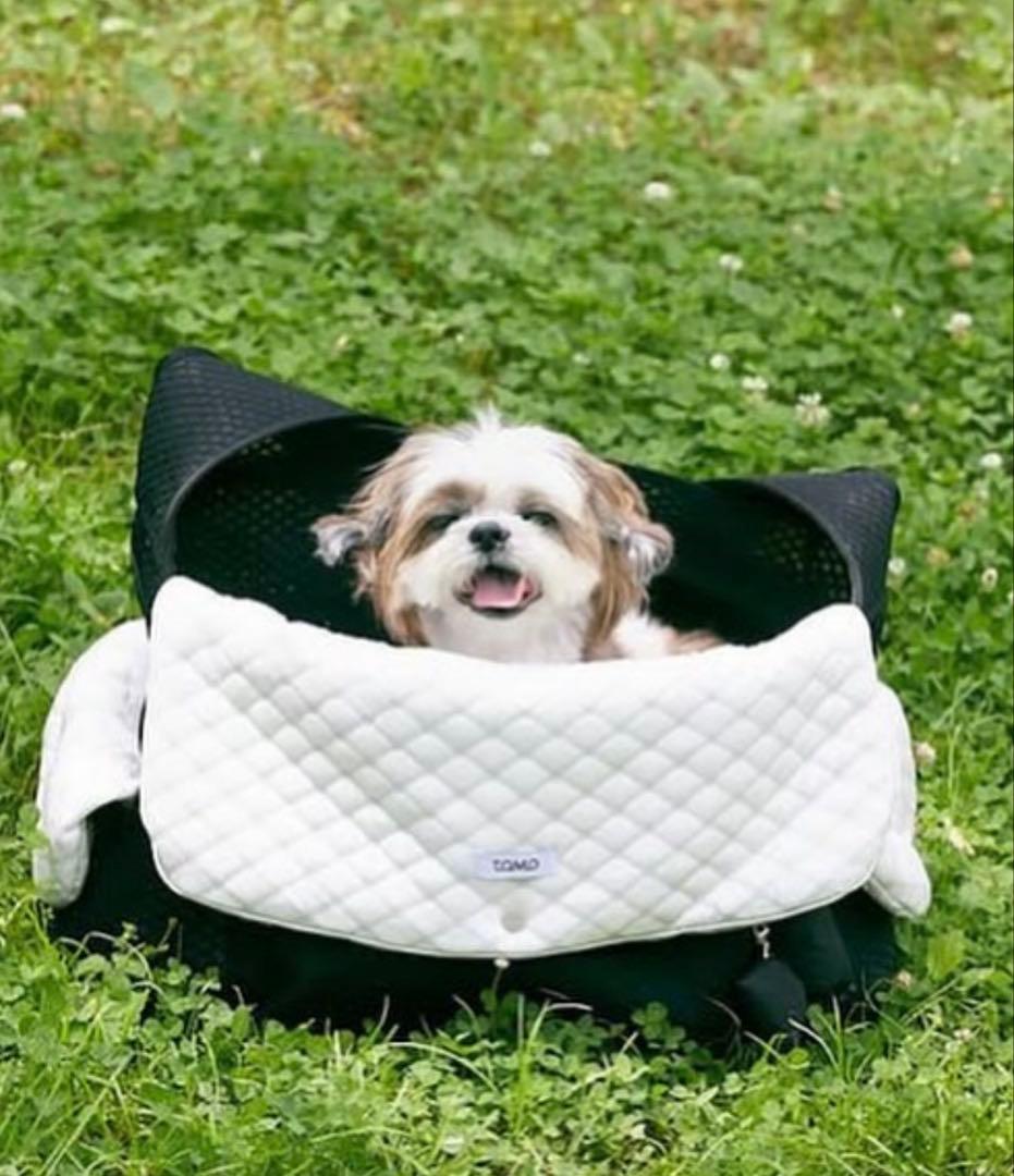 TOMO♥️Uni Bag Cooling Cushion 《 L・black 黒