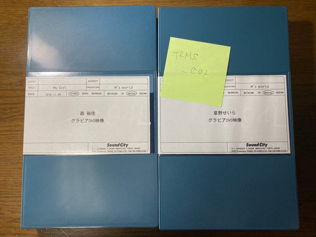 【超貴重】グラビアアイドルDVD マスターテープ9本