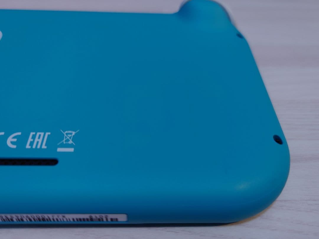 Nintendo Switch Lite 本体+ガラスフィルム+ケース(箱無し)