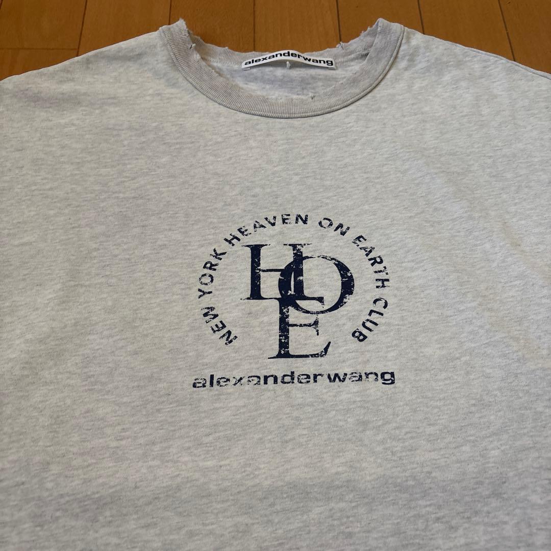 登坂広臣着用ALEXANDER WANG DISTRESSED TEE