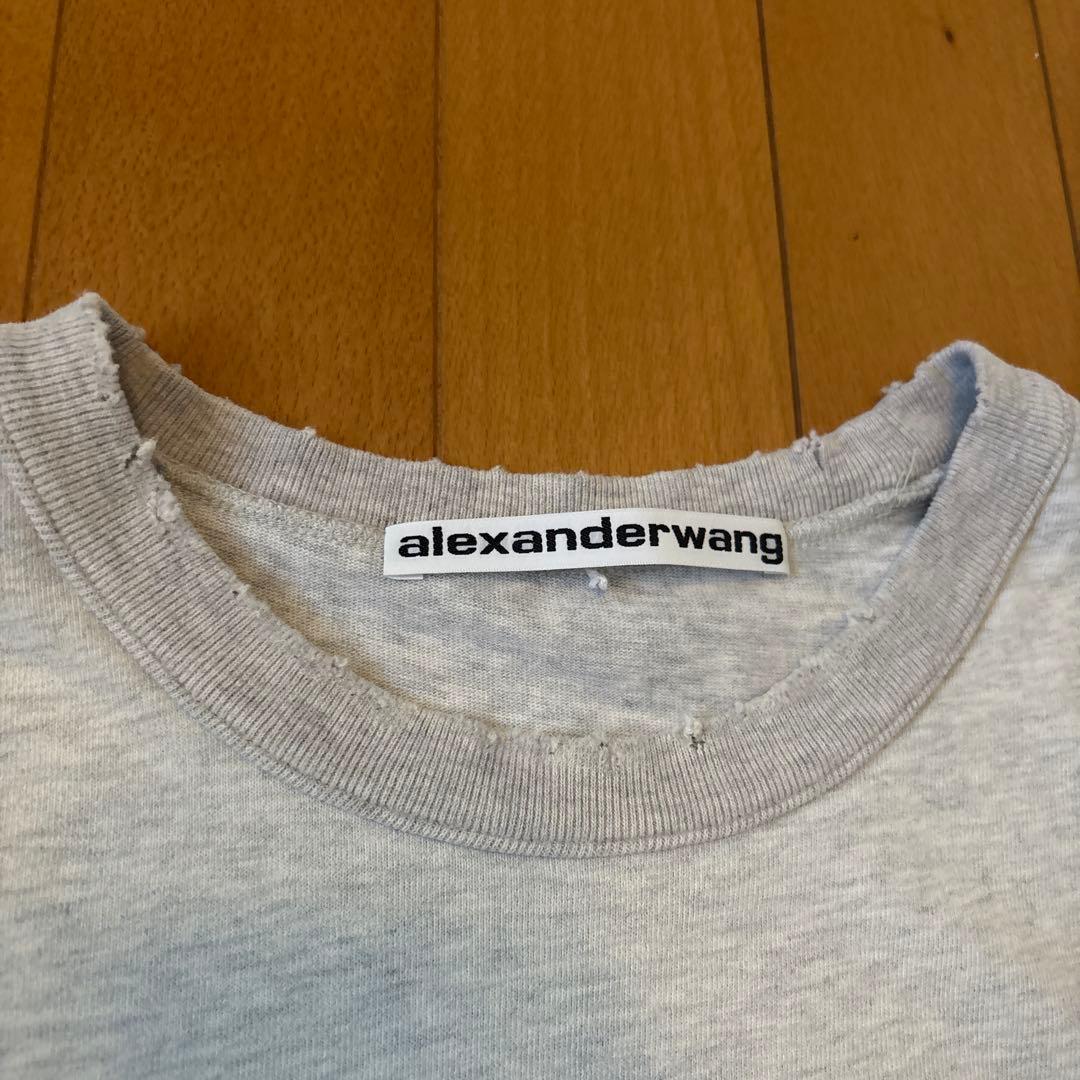 登坂広臣着用ALEXANDER WANG DISTRESSED TEE