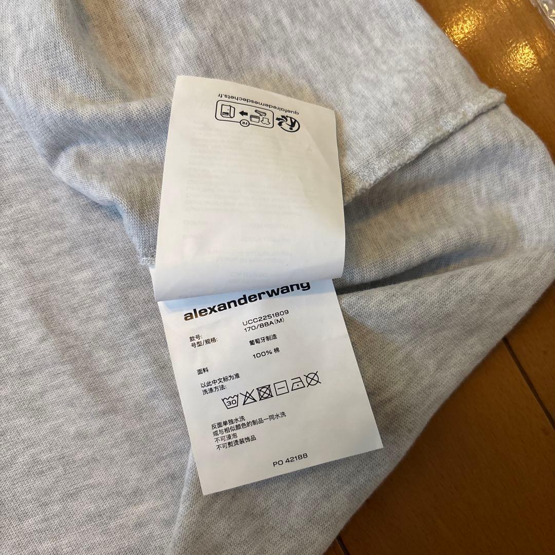 登坂広臣着用ALEXANDER WANG DISTRESSED TEE