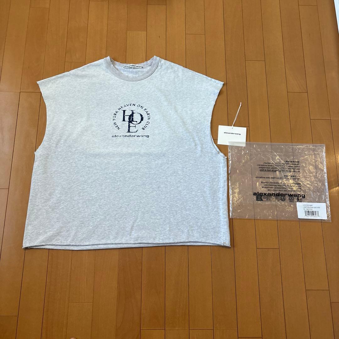 登坂広臣着用ALEXANDER WANG DISTRESSED TEE