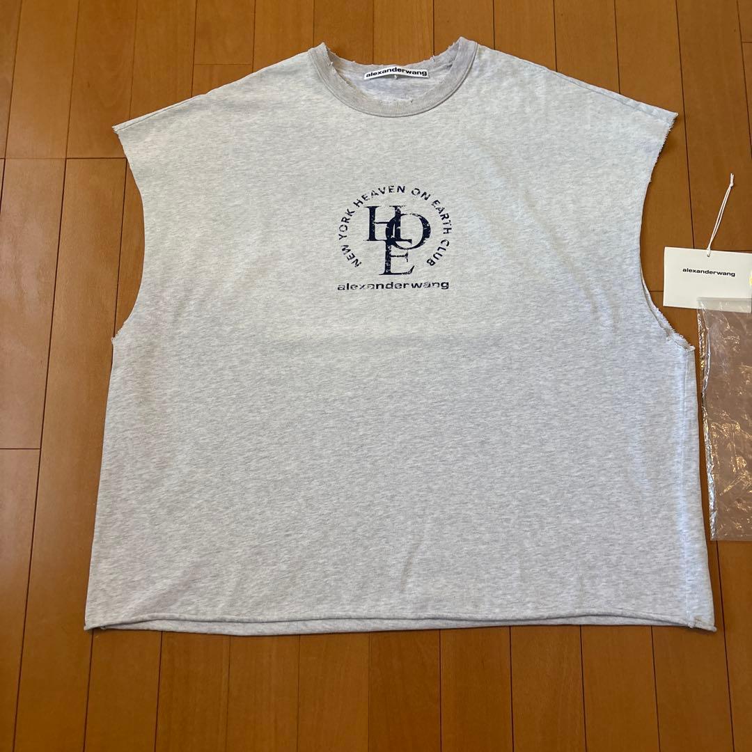 登坂広臣着用ALEXANDER WANG DISTRESSED TEE