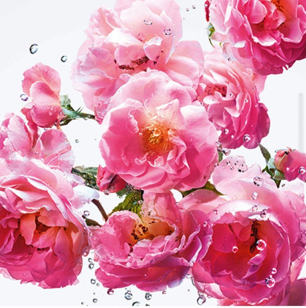 新品未使用◆DIOR　ミスディオール　ローズ&ローズ　オードゥトワレ　50mI