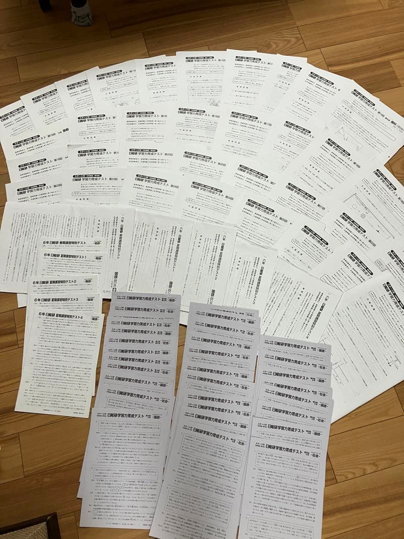 日能研 小6 全国公開模試 実力判定/合格力実践/育成テスト他　2022年実施