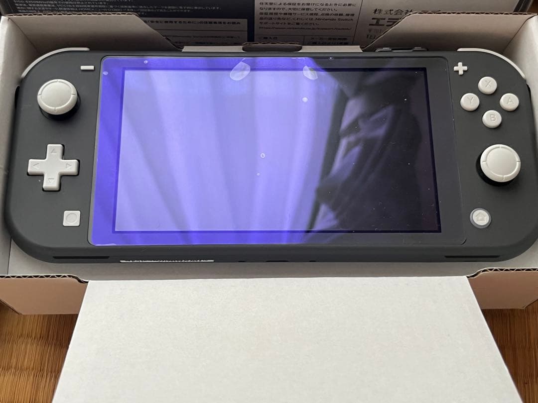 Nintendo Switch Lite グレー 本体➕おまけソフト1本付き