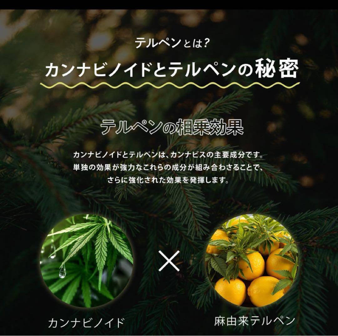 【当日発送】CNP hybrid 1ml リキッド　CBP CBN CBD