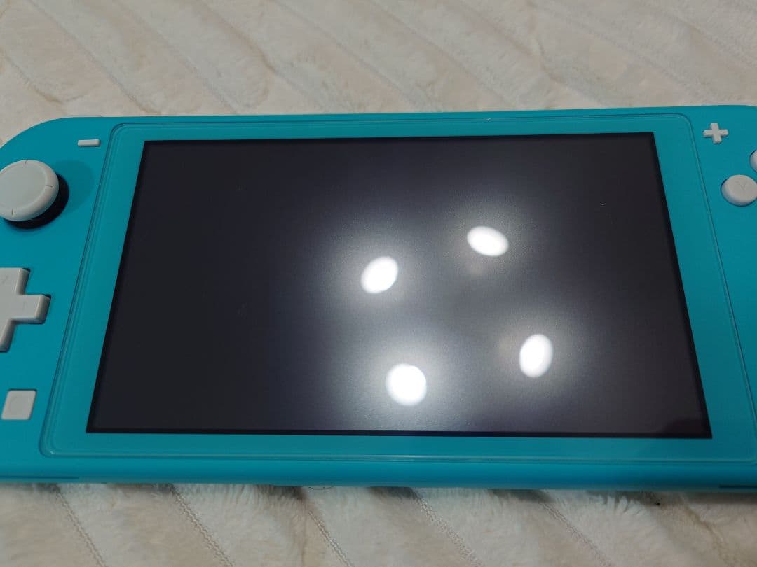 Nintendo Switch Lite ターコイズ スイッチライト　ケース付