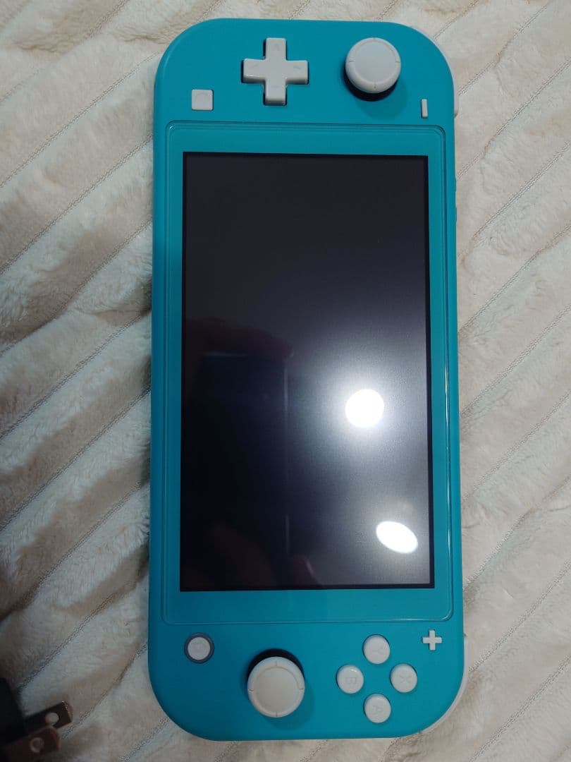 Nintendo Switch Lite ターコイズ スイッチライト　ケース付