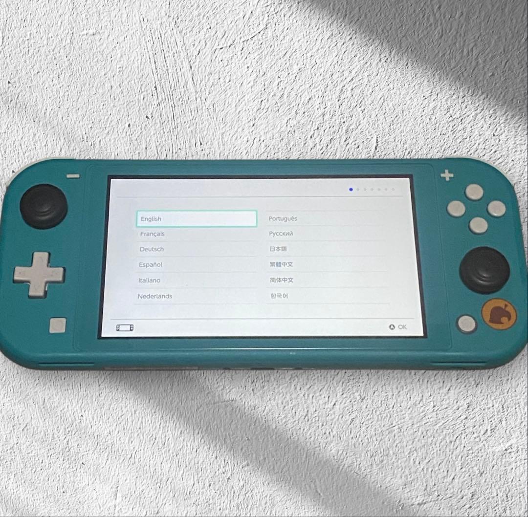 Nintendo Switch Lite あつ森Ver本体&ケース&SDカード
