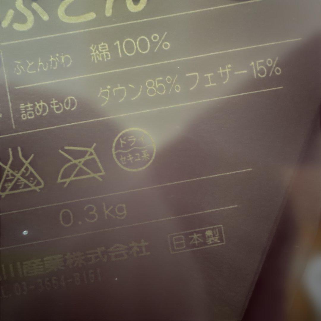 ダウンケットETRO 西川産業♪羽毛布団 ♪日本製 150x200cm ♪新品