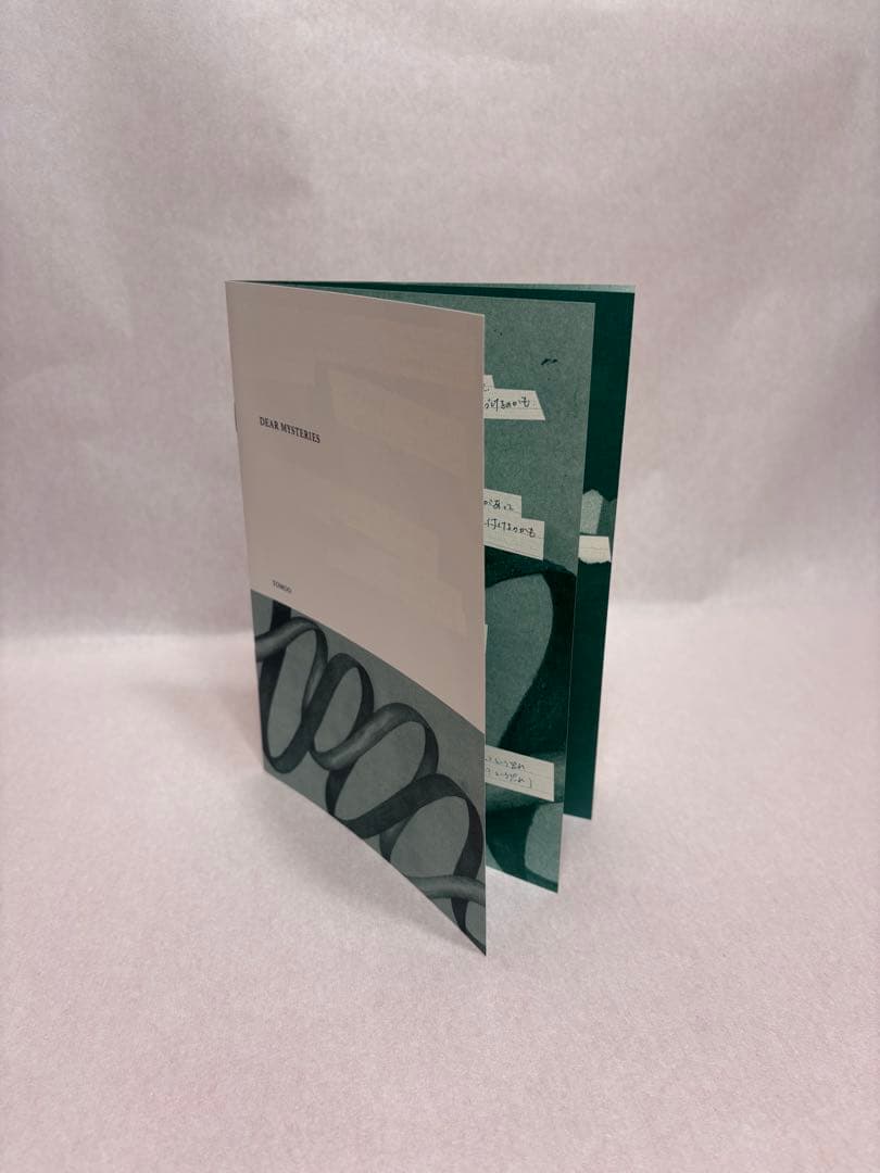 TOMOO / TWO MOON アナログレコード ZINE付