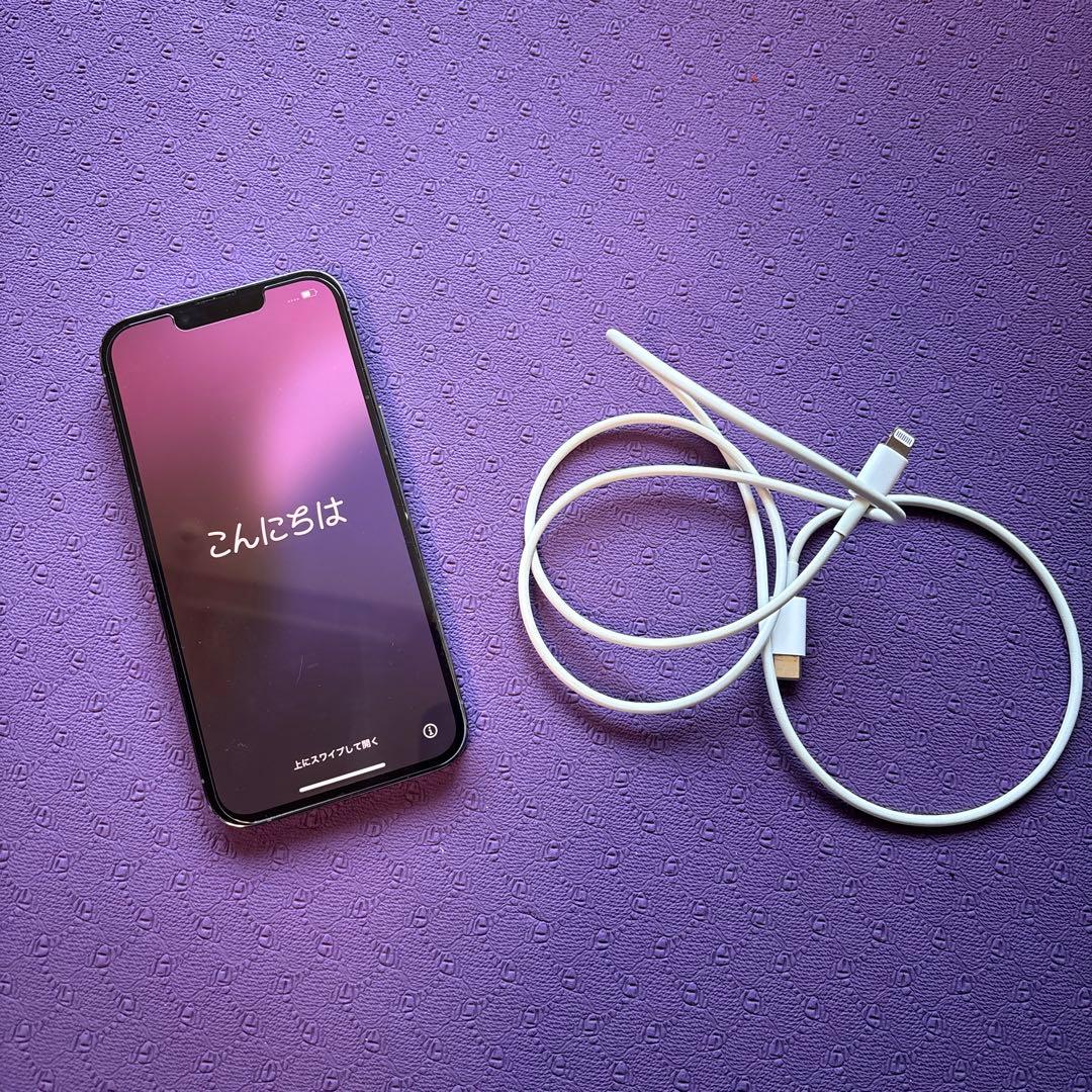 専用ページiPhone 13 Pro シエラブルージャンク　Face ID不可