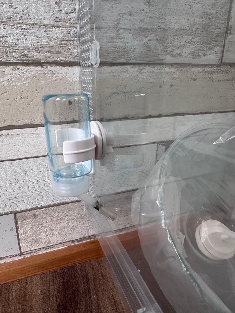 値下げ グラスハーモニー 600N おまけつき