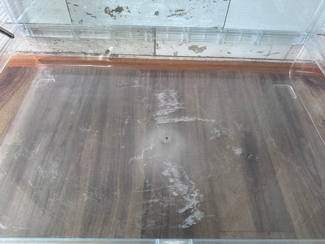 値下げ グラスハーモニー 600N おまけつき