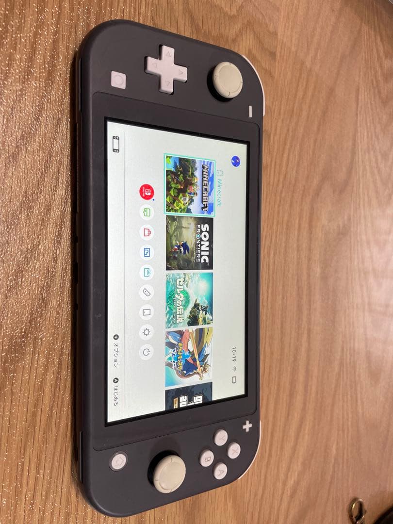 Nintendo Switch Lite グレー ケース付き　本体