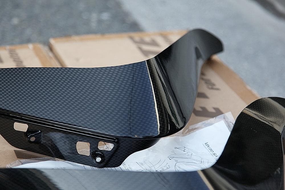 絶版ワイズギア カーボンルックサイドバイザー SG15J グランドマジェスティ