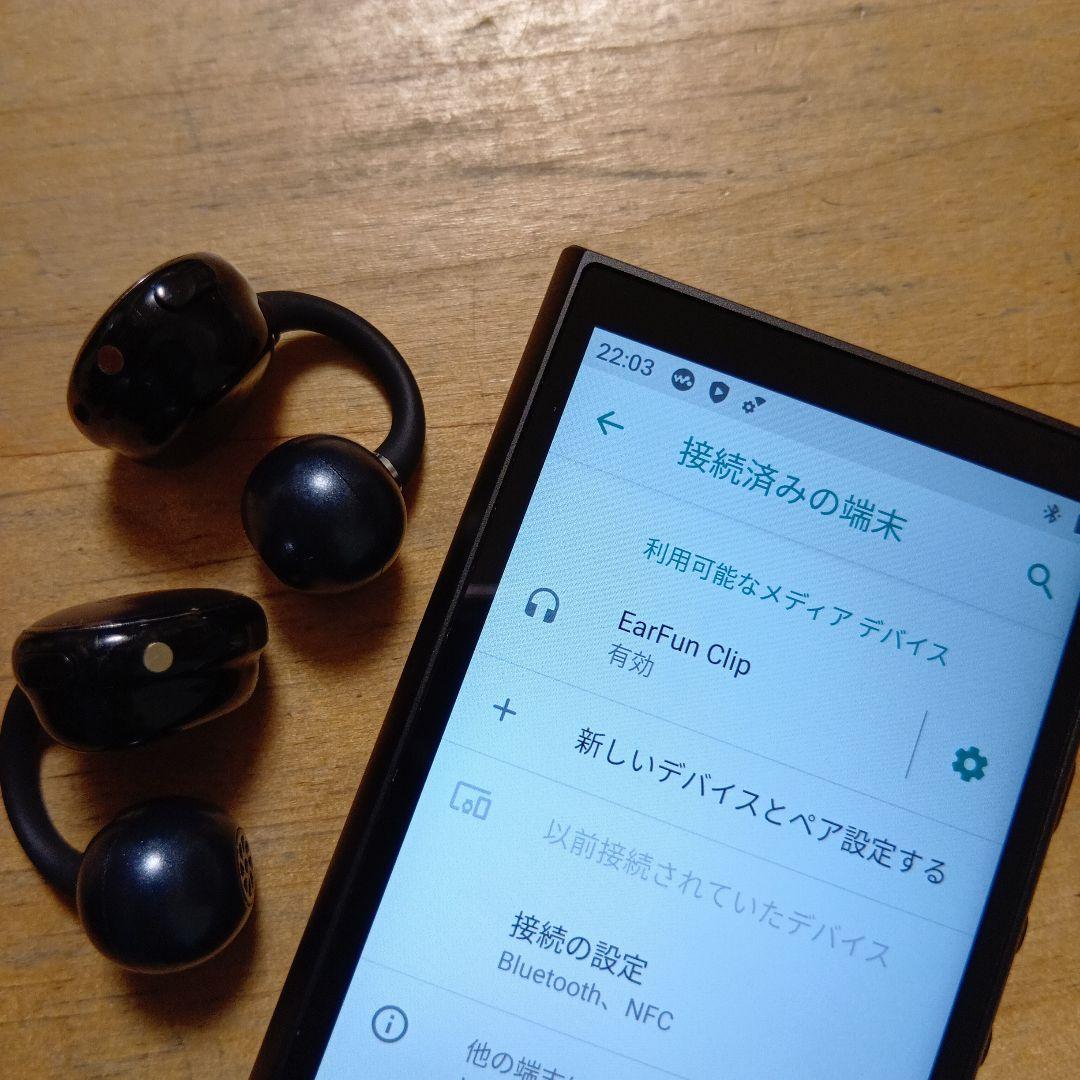 福*志様 SONYウォークマンNW-A105 動作良好美品