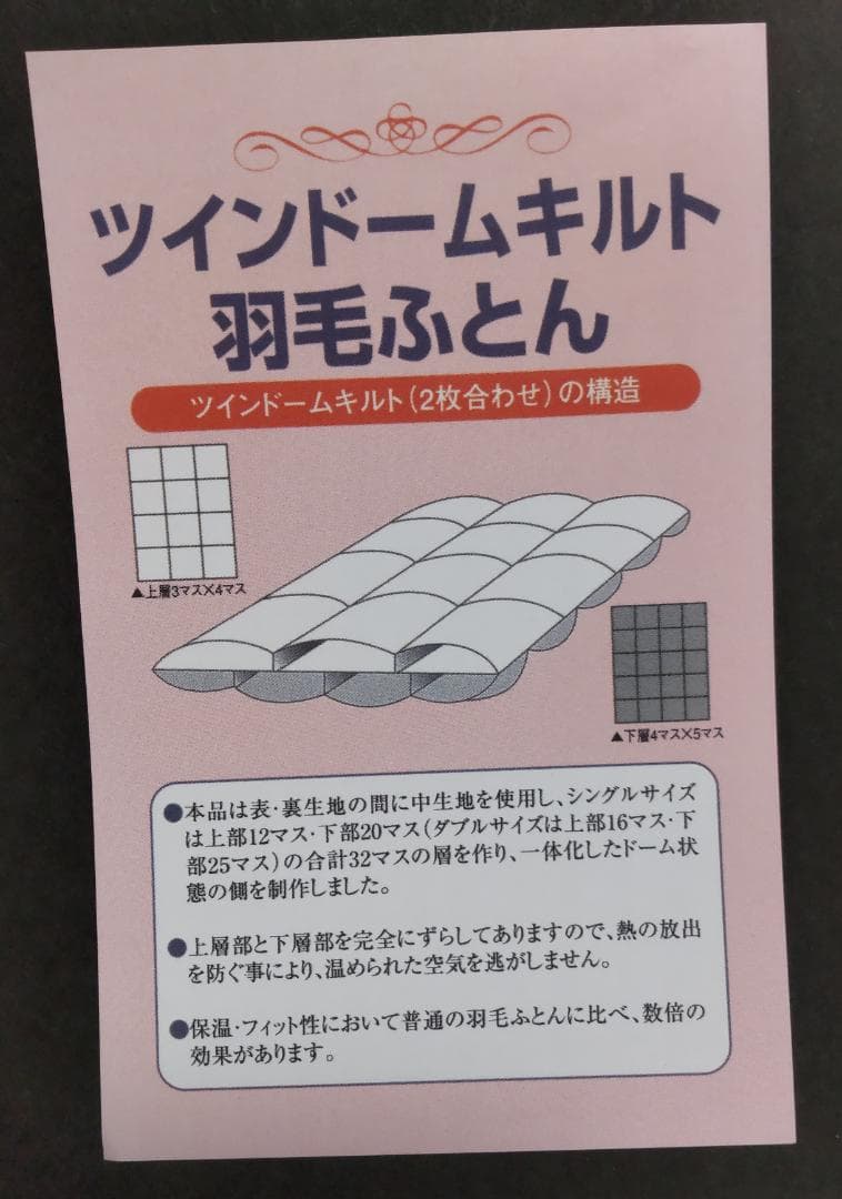 羽毛掛けふとん シングル　ホワイトマザーグース95％  Queen