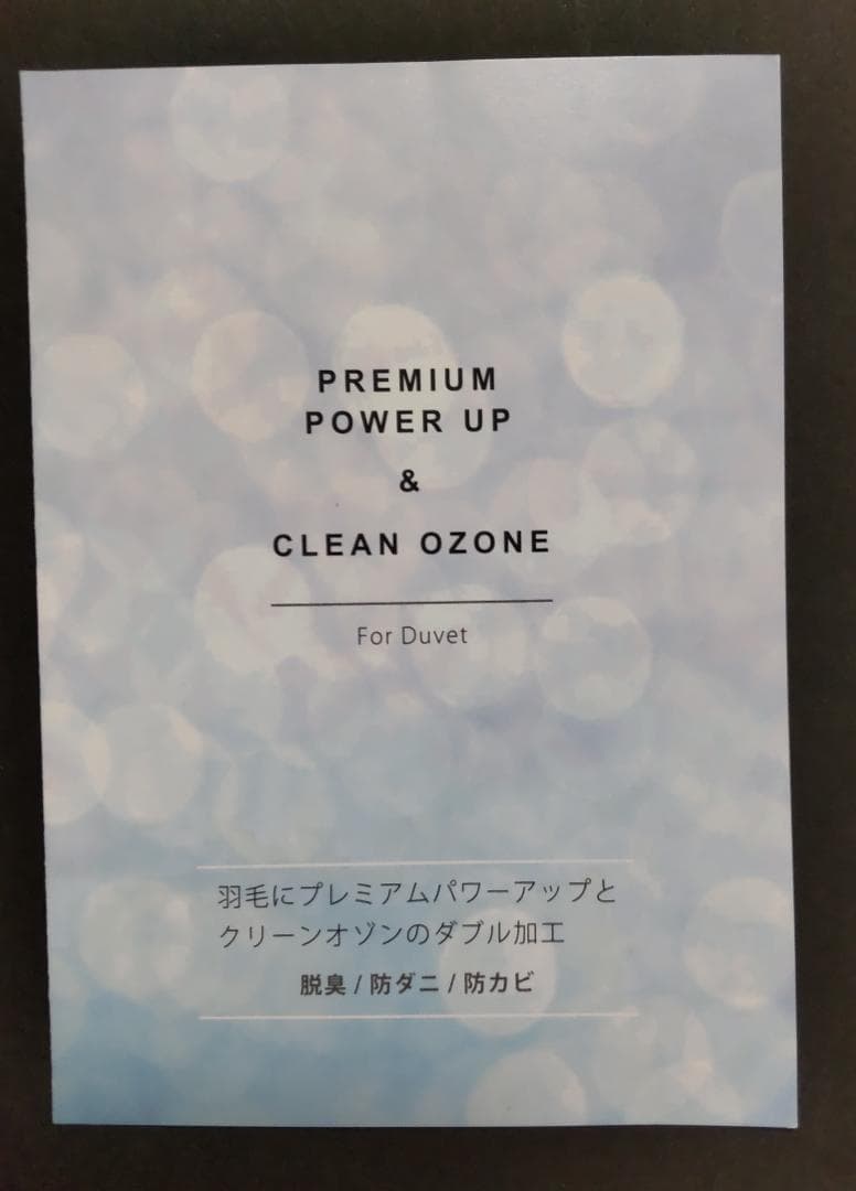 羽毛掛けふとん シングル　ホワイトマザーグース95％  Queen