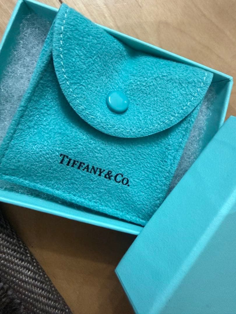 本日限定値下げ！TIFFANY＆Co アップル ピアス SV925