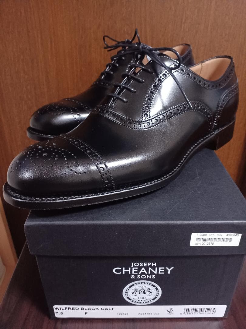 新品未使用 チーニー ウィルフレッド 黒 26cm 7.5F
