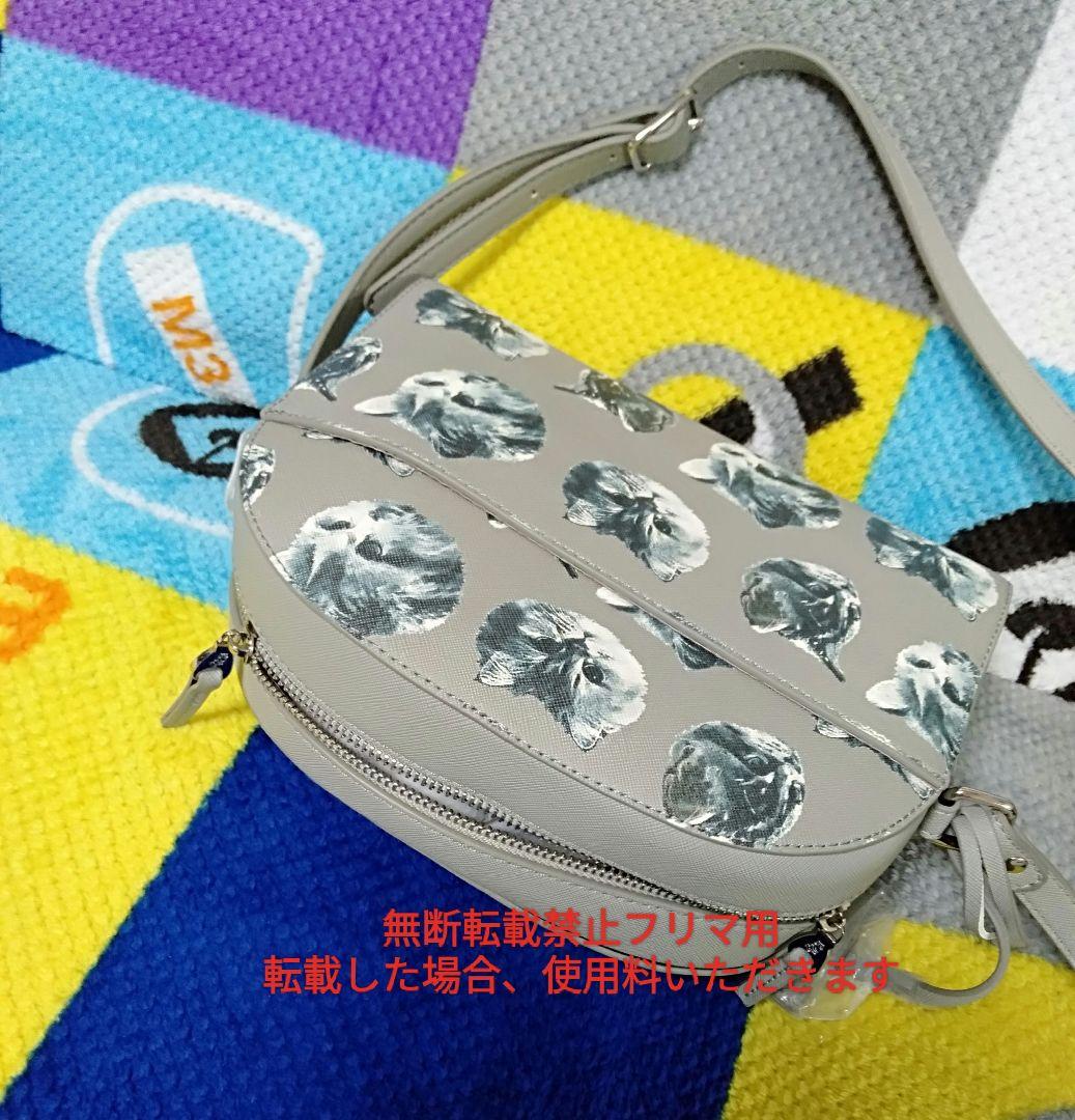 新品 ポール&ジョーシスター ショルダーバッグ 2段ポーチセット 猫柄