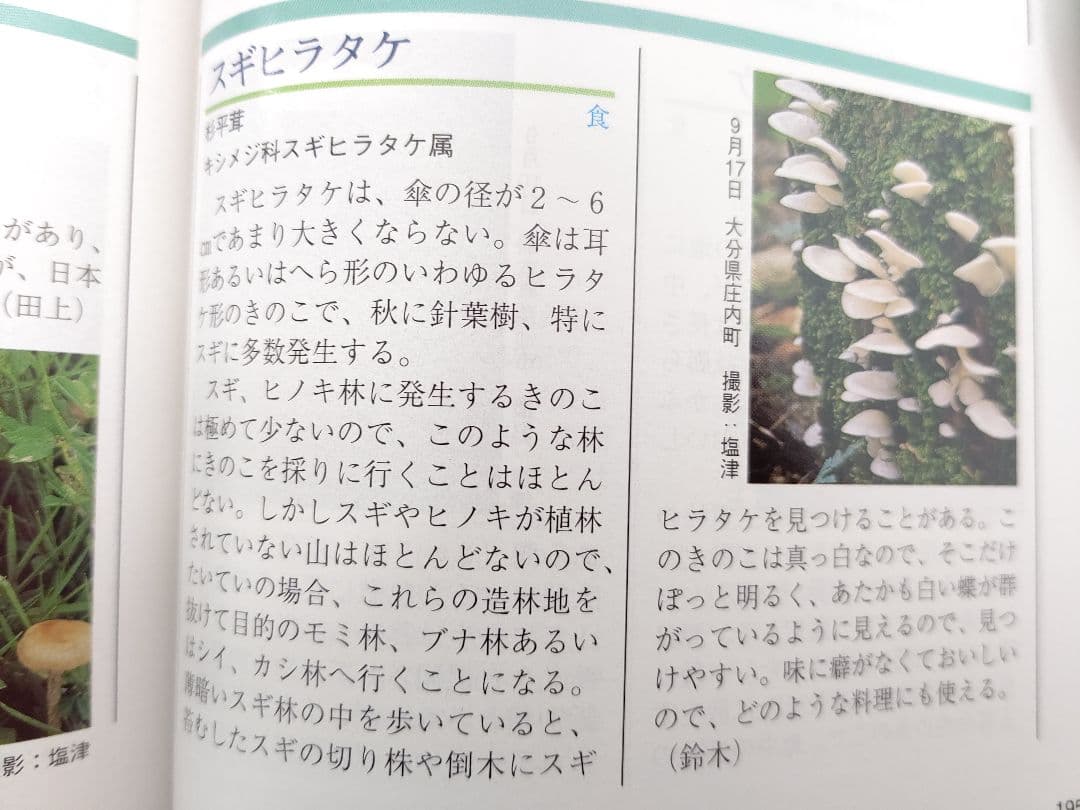 『熊本のきのこ』きのこ図鑑 稀覯本