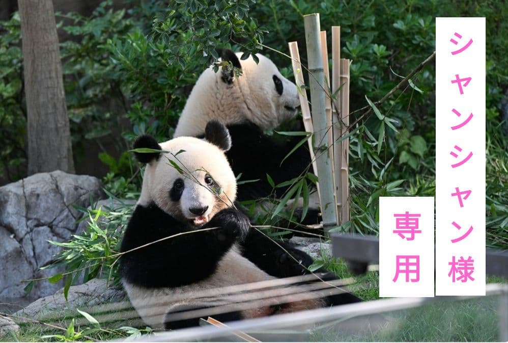 シャンシャン様　おまとめ品