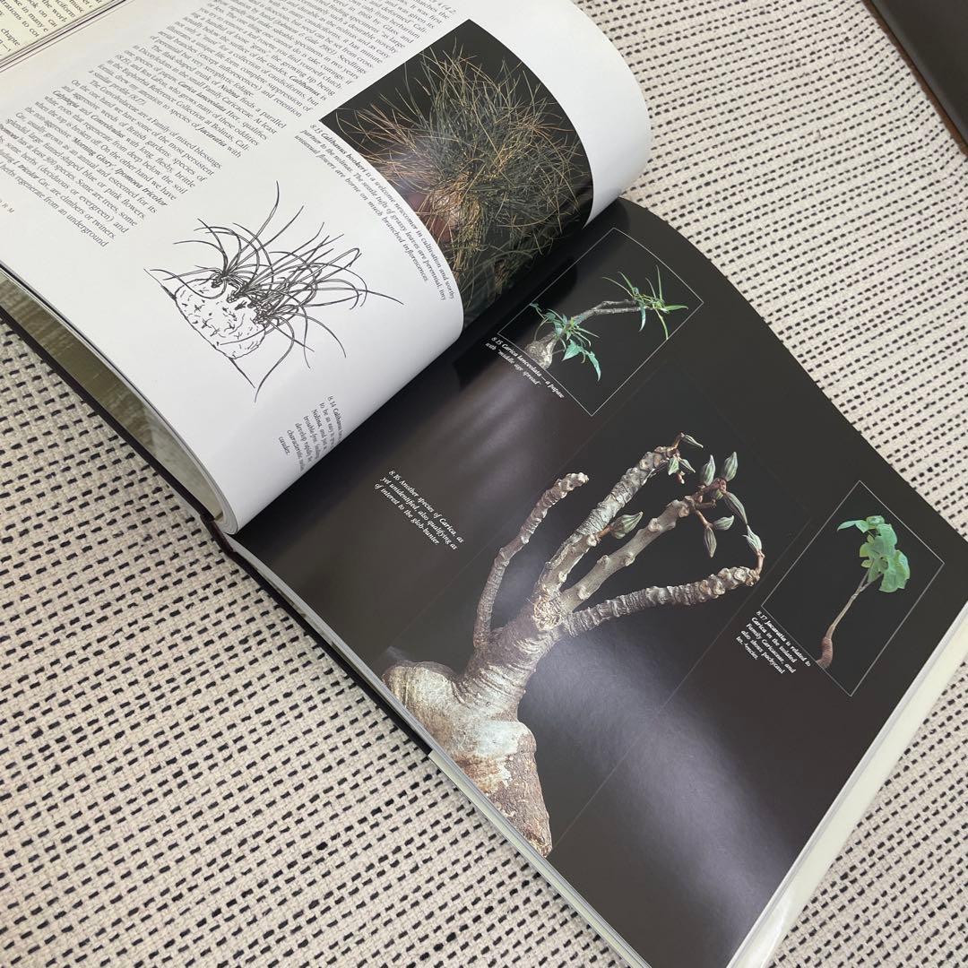 Caudiciform and Pachycaul Succulents 洋書