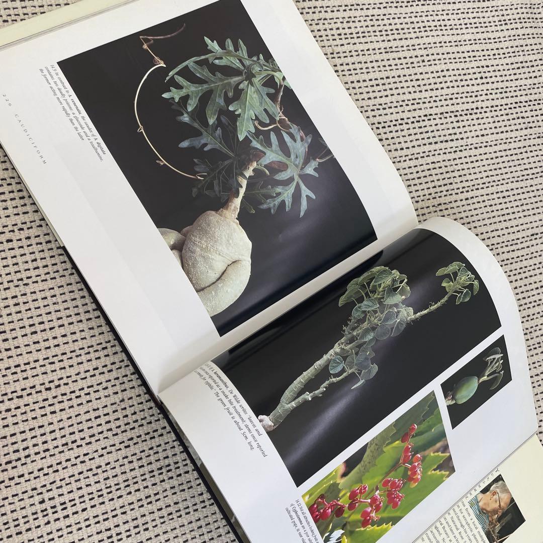 Caudiciform and Pachycaul Succulents 洋書